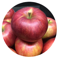 安曇野りんご狩り　安曇野サンふじ