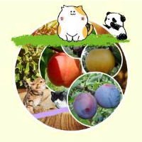 果物カレンダー