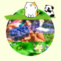 ブルーベリー狩りあづみ野