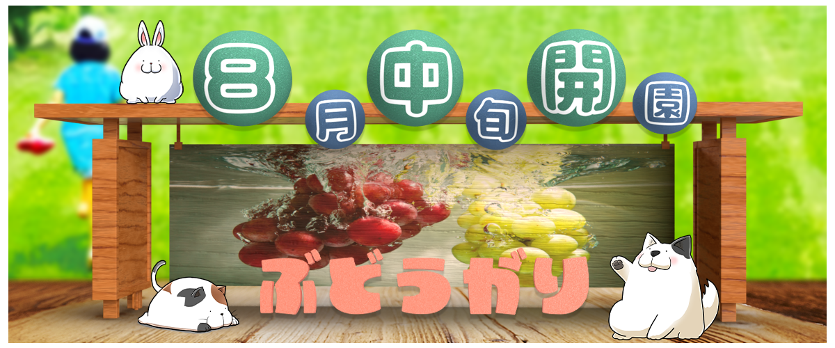 あづみ野ぶどう狩り