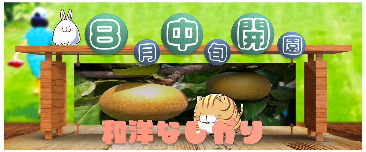 あづみ野梨狩り