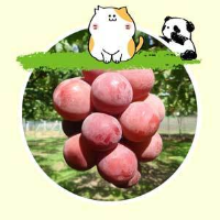 ぶどう狩りあづみ野