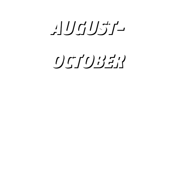 プルーン狩り_あづみ野フルーツらんど果物狩り