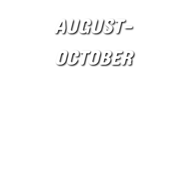 ぶどう狩り_あづみ野フルーツらんど果物狩り