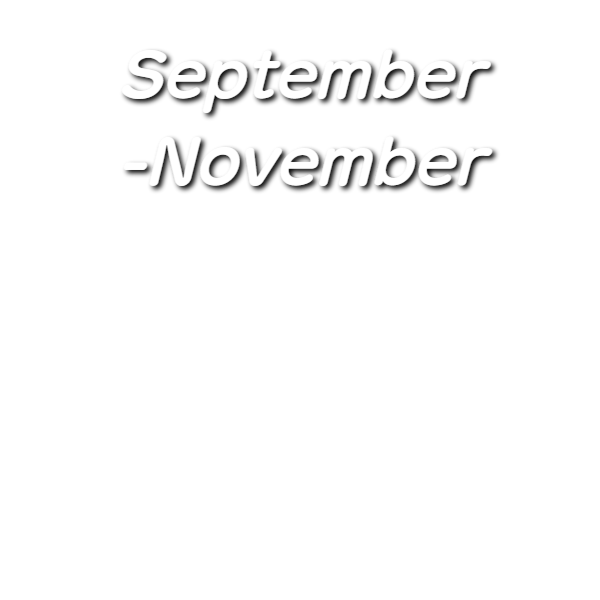 りんご狩り_あづみ野フルーツらんど果物狩り