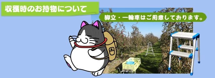 りんご狩り　梱包資材