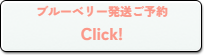 ブルーベリー発送予約